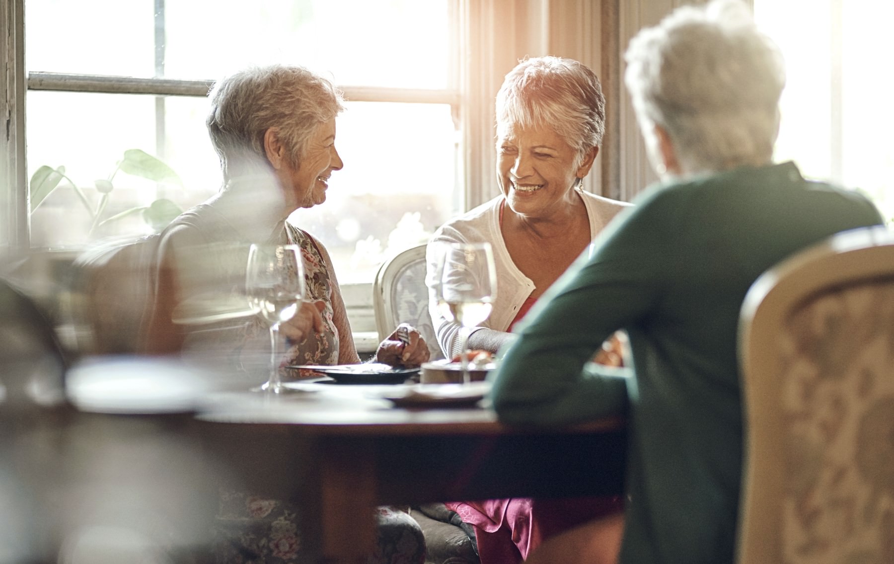 Hyegrove Northbridge flyer smiling-seniors-enjoying-lunch-together-indoors_